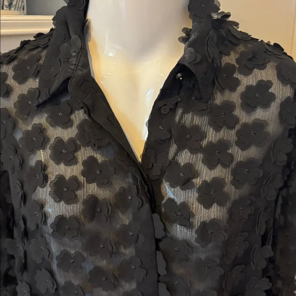 Zara Black Textured Sheer Blouse - Picture 2 of 2